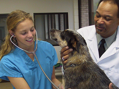 Alfred State Department Agriculture and Veterinary Technology